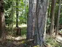 380 S WARBLER ROAD - thumbnail 36