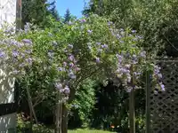 380 S WARBLER ROAD - thumbnail 37