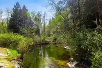 24400 130 AVENUE - thumbnail 30