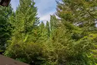 27 4894 PAINTED CLIFF ROAD - thumbnail 5