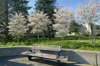 214 8140 COLONIAL DRIVE - thumbnail 16