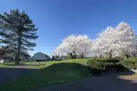 214 8140 COLONIAL DRIVE - thumbnail 19