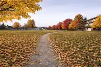 214 8140 COLONIAL DRIVE - thumbnail 23