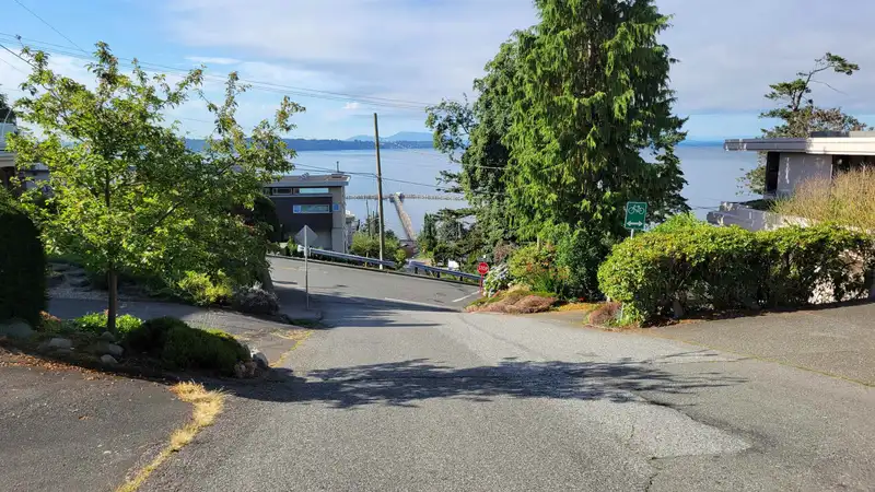 202 1444 MARTIN STREET - photo 4 of 40