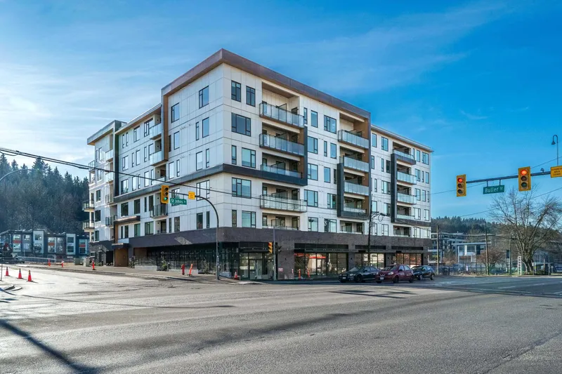 311 111 BULLER STREET - photo 3 of 25