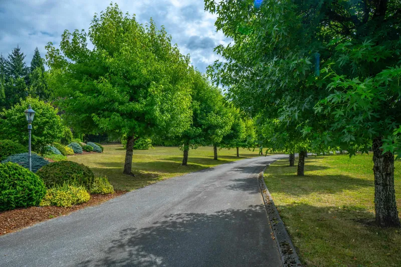 10270 ROLLEY CRESCENT - photo 4 of 25