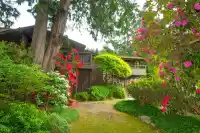 5335 MARINE DRIVE - thumbnail 37