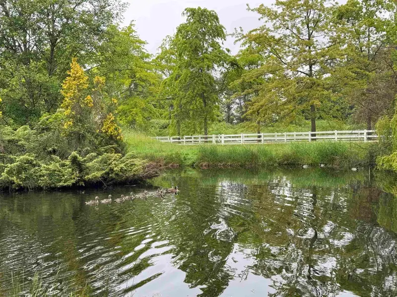 18224 32 AVENUE - photo 3 of 12