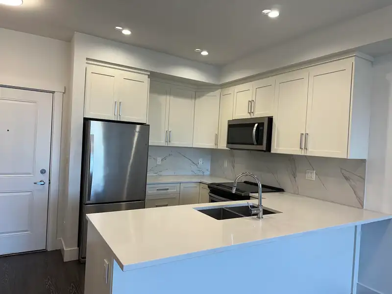 218 9983 E BARNSTON DRIVE - photo 2 of 11