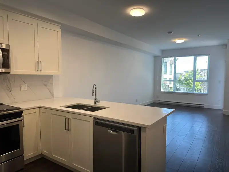 218 9983 E BARNSTON DRIVE - photo 3 of 11