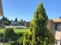 325 11806 88 AVENUE - thumbnail 32