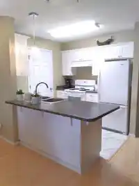 301 2350 WESTERLY STREET - thumbnail 16