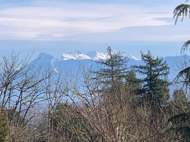 34639 DUNN STREET - photo 3 of 7