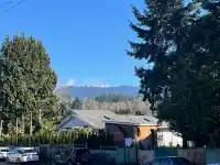 475 ORWELL STREET - thumbnail 35