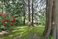 13119 NARROWS ROAD - thumbnail 10