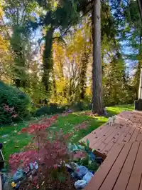 10987 COLLINGS PLACE - thumbnail 36