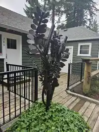 389 ALDER STREET - thumbnail 21