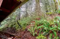 44240 BAYVIEW ROAD - thumbnail 28