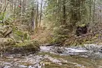 32415 SILVER CREEK DRIVE - thumbnail 9
