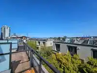 5 230 SALTER STREET - thumbnail 3