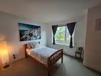 5 230 SALTER STREET - thumbnail 21
