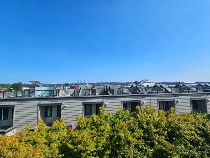 5 230 SALTER STREET - photo 4 of 25