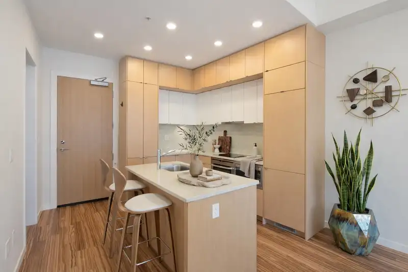 1202 1205 HOWE STREET - photo 4 of 19