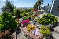14535 SUNSET DRIVE - thumbnail 25
