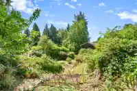 4704 DOGWOOD LANE - thumbnail 13