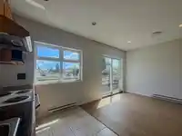 203 2817 CLARK DRIVE - thumbnail 10