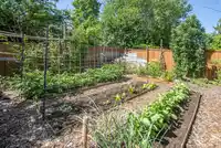 33764 BLUEBERRY DRIVE - thumbnail 35