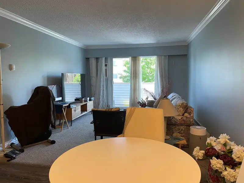 202 9175 MARY STREET - photo 3 of 13