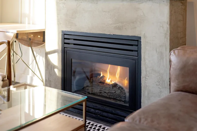 805 22 E CORDOVA STREET - photo 4 of 25