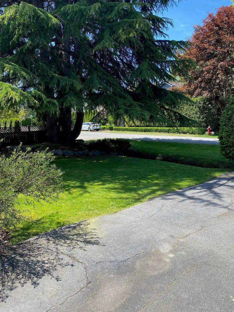 7911 AFTON DRIVE - photo 3 of 10