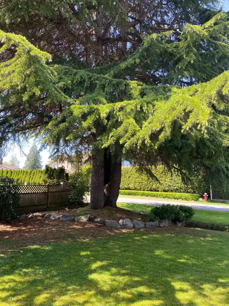 7911 AFTON DRIVE - photo 4 of 10