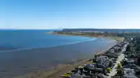1741 BEACH GROVE ROAD - thumbnail 9