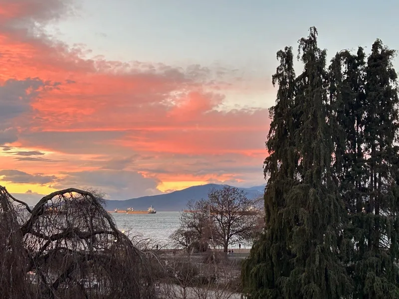 PH 1480 ARBUTUS STREET - photo 3 of 25