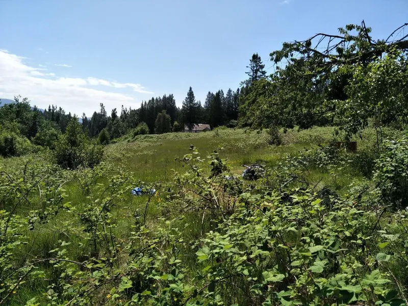 8980 EDWARDS STREET - photo 3 of 5