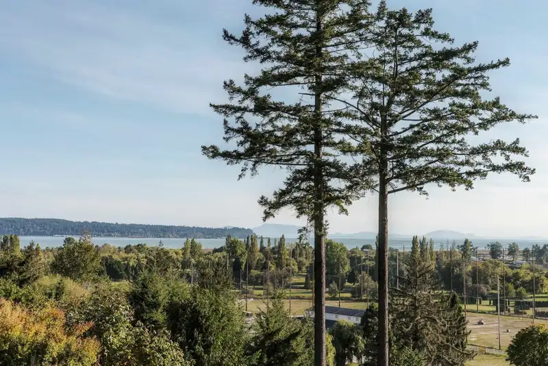 5575 FAIRLIGHT CRESCENT - photo 4 of 40