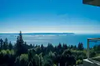 703 3131 DEER RIDGE DRIVE - thumbnail 3