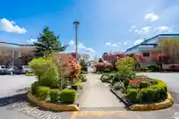 109 2626 COUNTESS STREET - thumbnail 37