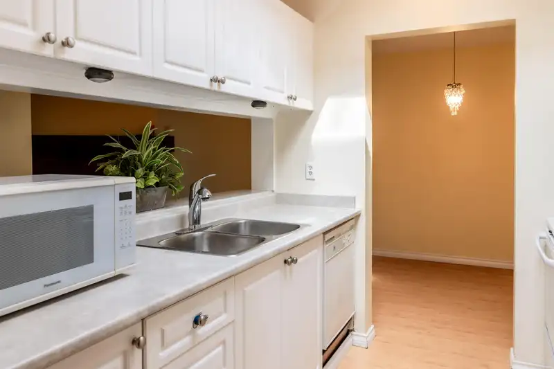 335 7651 MINORU BOULEVARD - photo 4 of 17