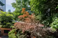 203 1169 NELSON STREET - thumbnail 33