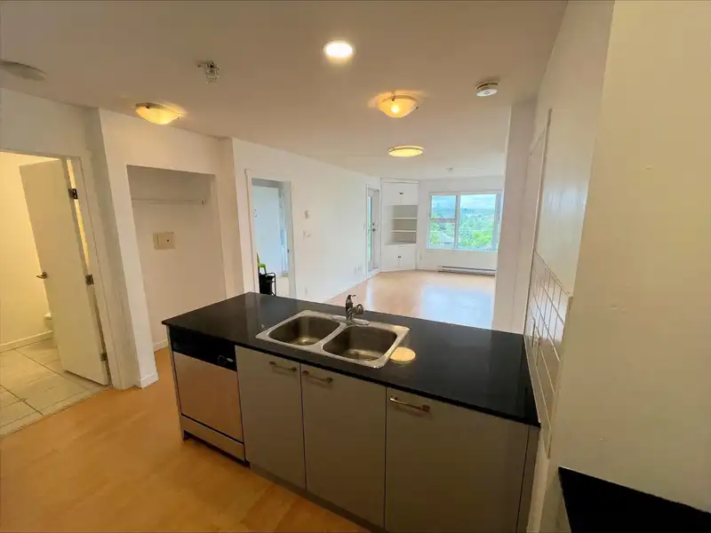 503 415 E COLUMBIA STREET - photo 3 of 38