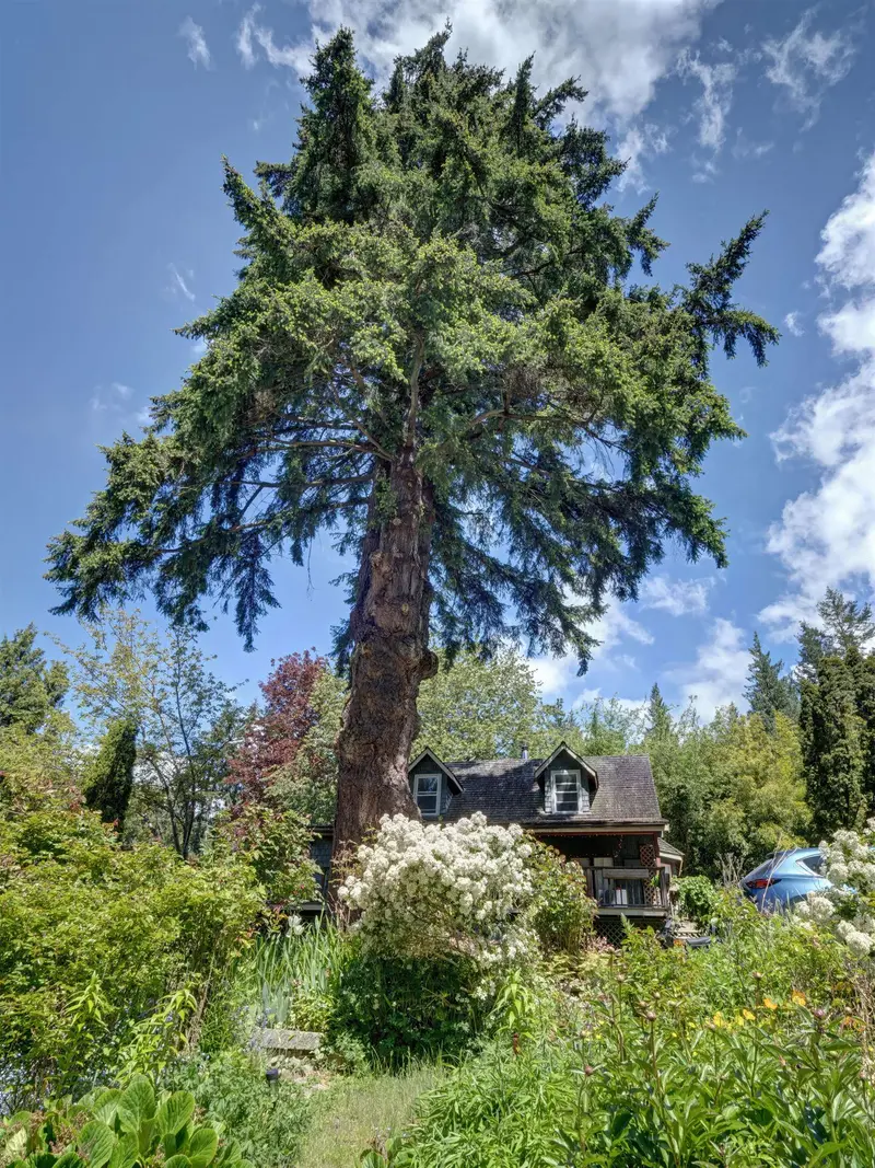 2602 LOWER ROAD - photo 1 of 23