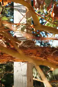 5757 TELEGRAPH TRAIL - thumbnail 8