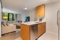 306 977 MAINLAND STREET - thumbnail 8