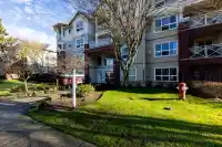 118 8068 120A STREET - thumbnail 35