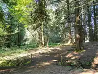 28927 BUCHANAN AVENUE - thumbnail 16