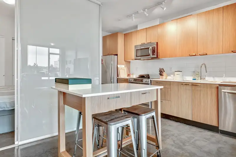 516 221 UNION STREET - photo 4 of 30